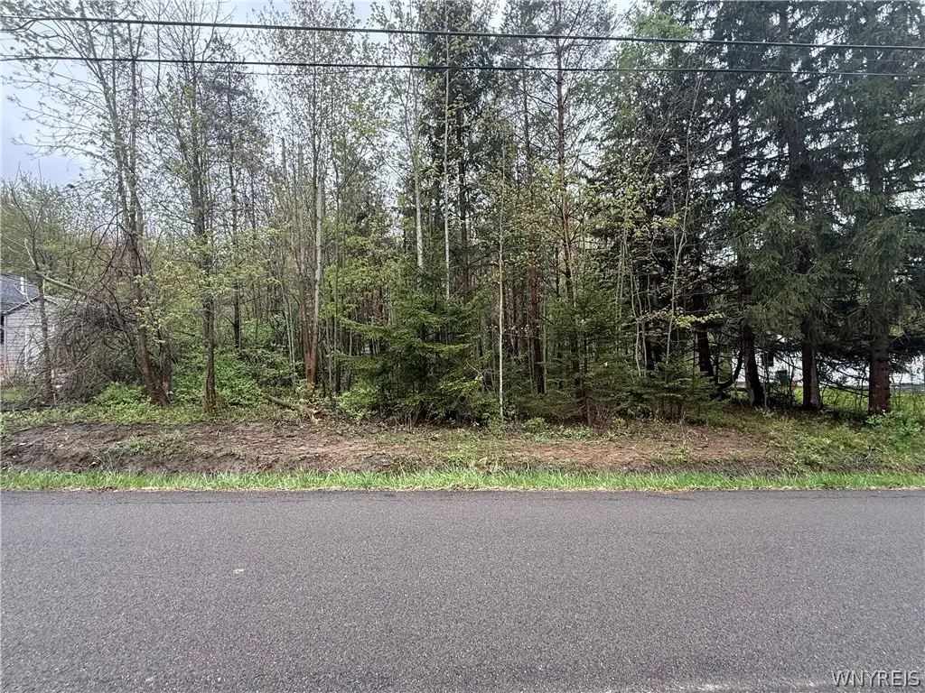 Dawn Avenue, Angola, NY 14006 - #1