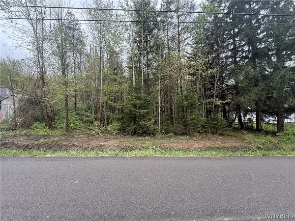Dawn Avenue, Angola, NY 14006