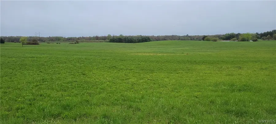 5 Acre Lot Darien Road, Holland, NY 14080 - #2