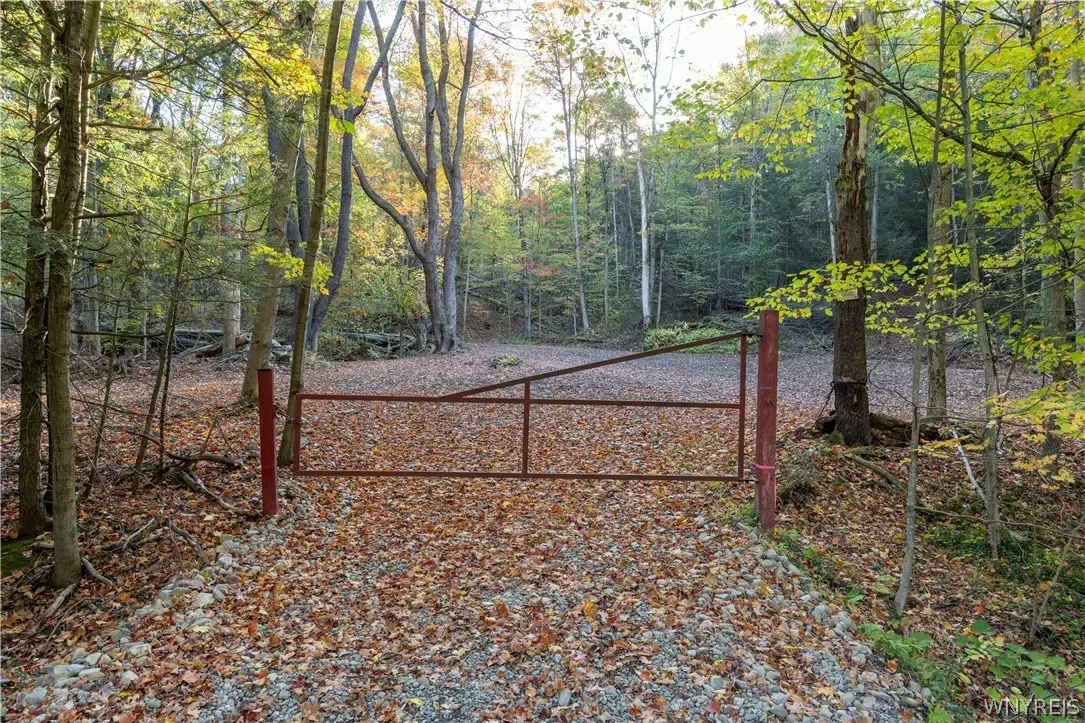 9881+9937 Larkin Road, Eden, NY 14057 - #1