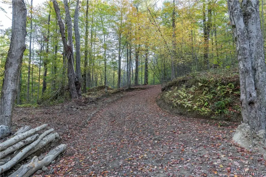9881+9937 Larkin Road, Eden, NY 14057 - #2