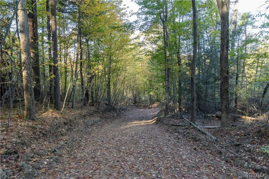9881+9937 Larkin Road, Eden, NY 14057 - #3