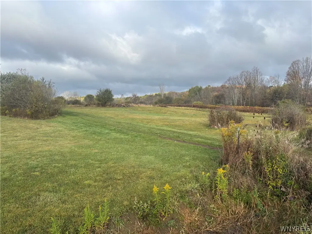 10087 Pratt Road, Houghton, NY 14744 - #1