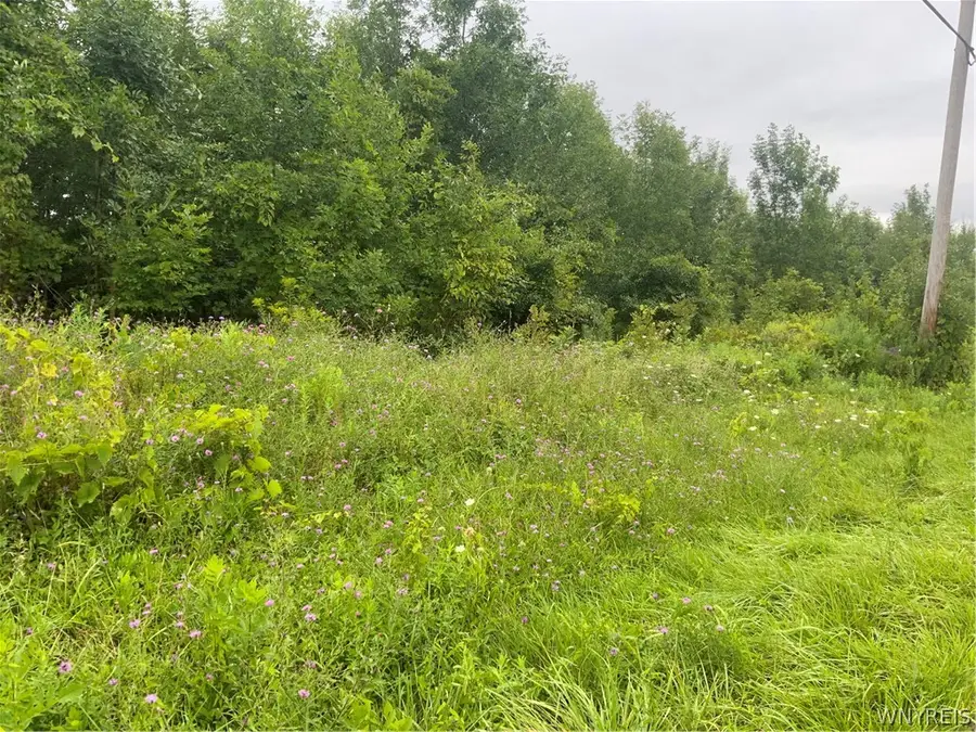 N. Gravel, Medina, NY 14103 - #2