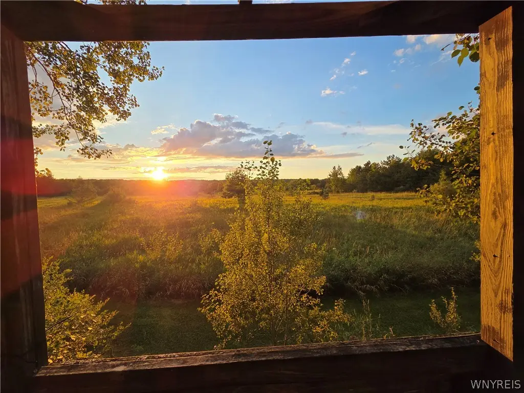 V/L Whitney Road, Holland, NY 14080 - #1