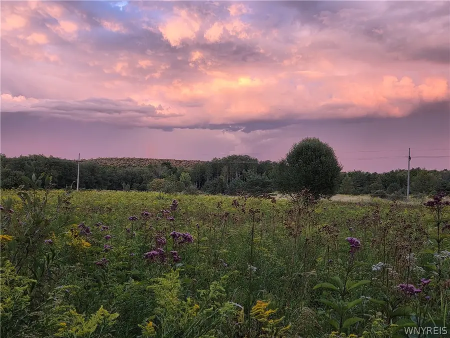 V/L Whitney Road, Holland, NY 14080 - #2