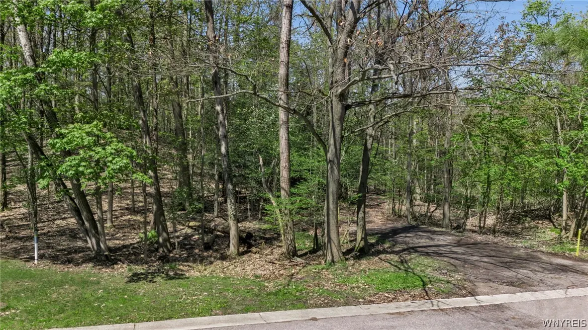 VL Middlebury, Orchard Park, NY 14127 - #1