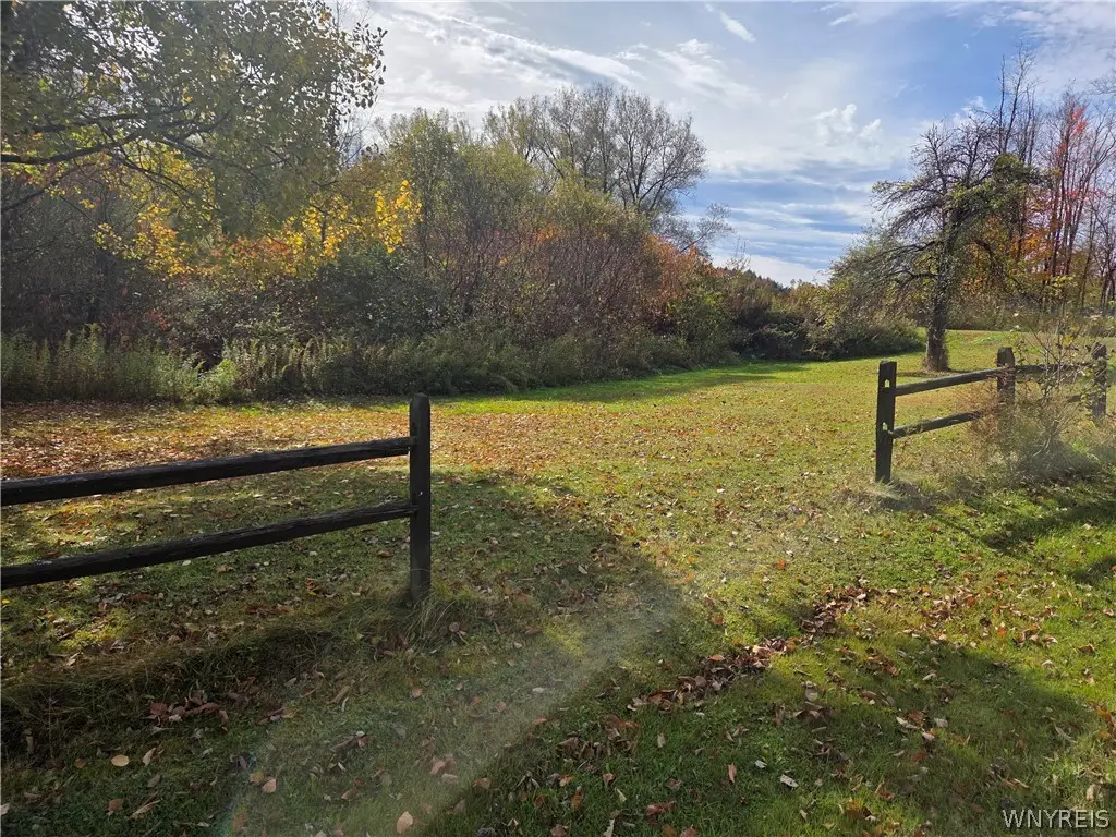 Sodum Road, Little Valley, NY 14755 - #1