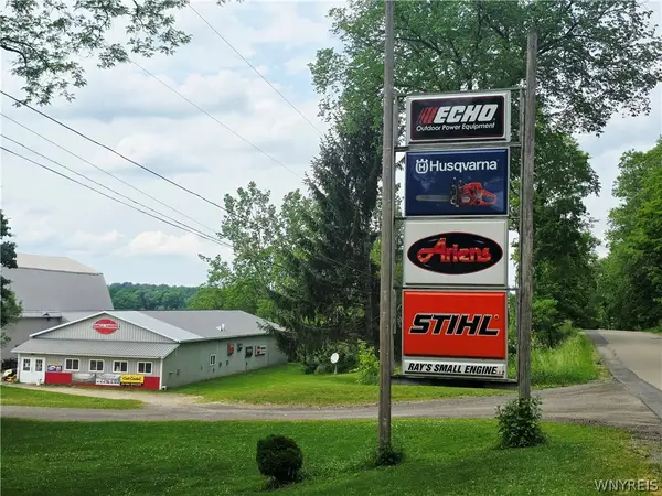 9511 Utley Road, East Otto, NY 14729
