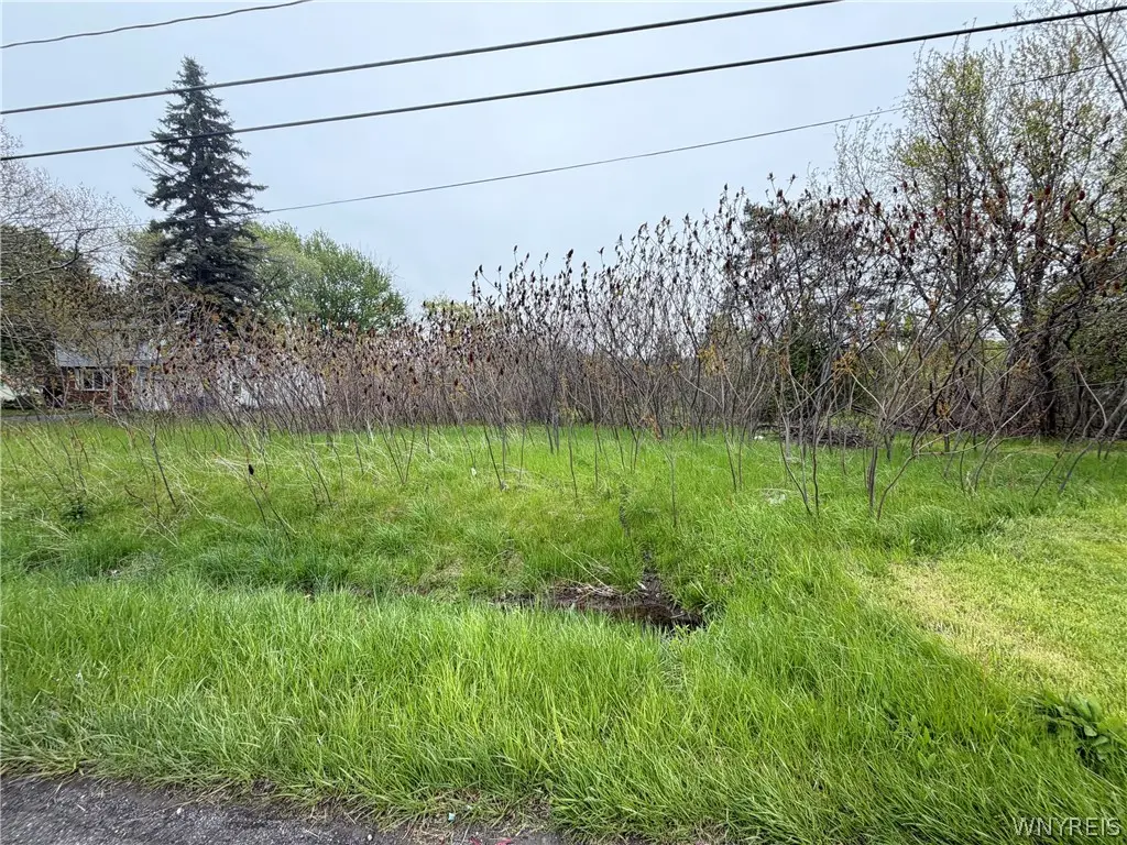 VL Ridge Road, Lewiston, NY 14092 - #1