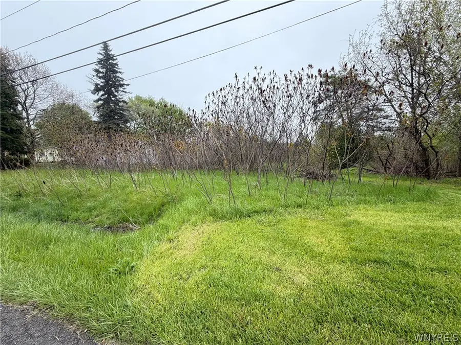 VL Ridge Road, Lewiston, NY 14092 - #3