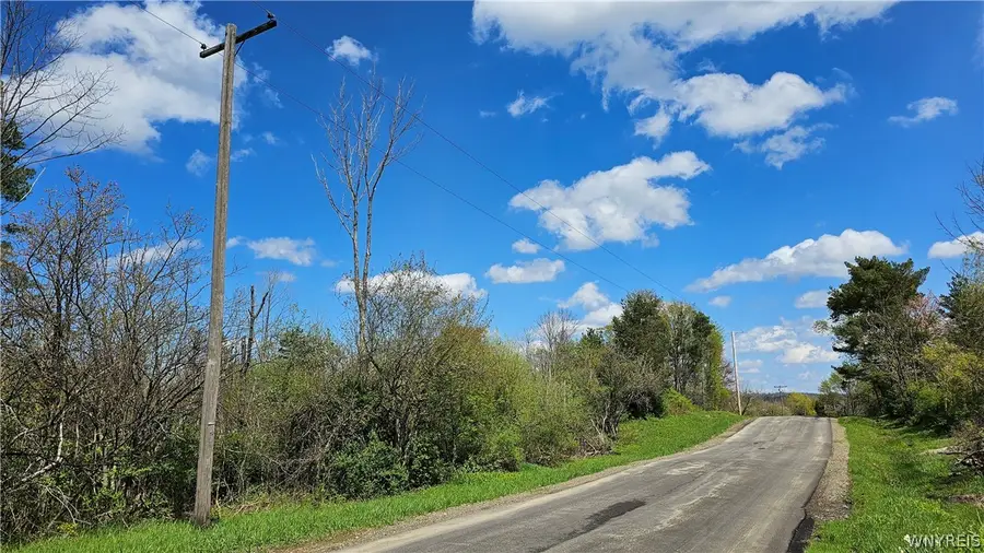 Murray Hill Road, Colden, NY 14033 - #3