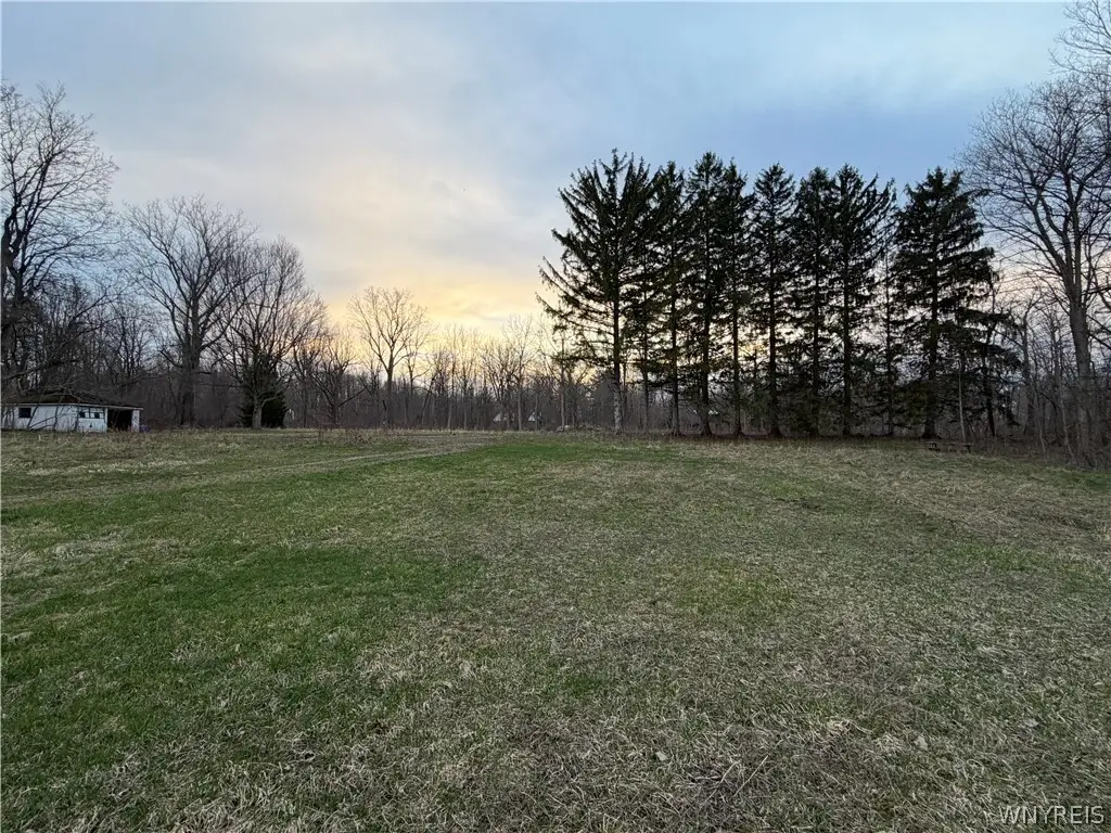 4880 Ransom Road, Clarence, NY 14301 - #1