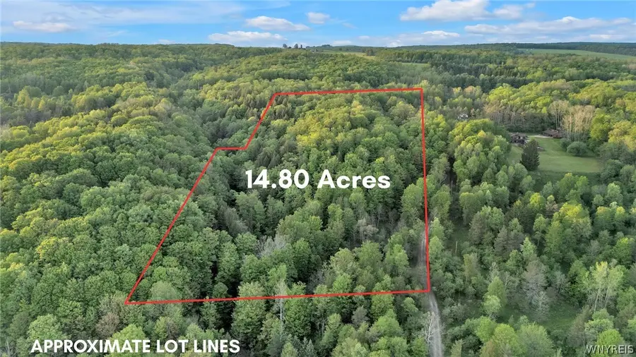10448 Creek Road, Sardinia, NY 14134 - #2
