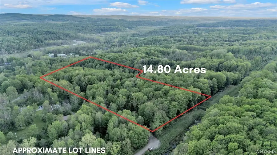 10448 Creek Road, Sardinia, NY 14134 - #3