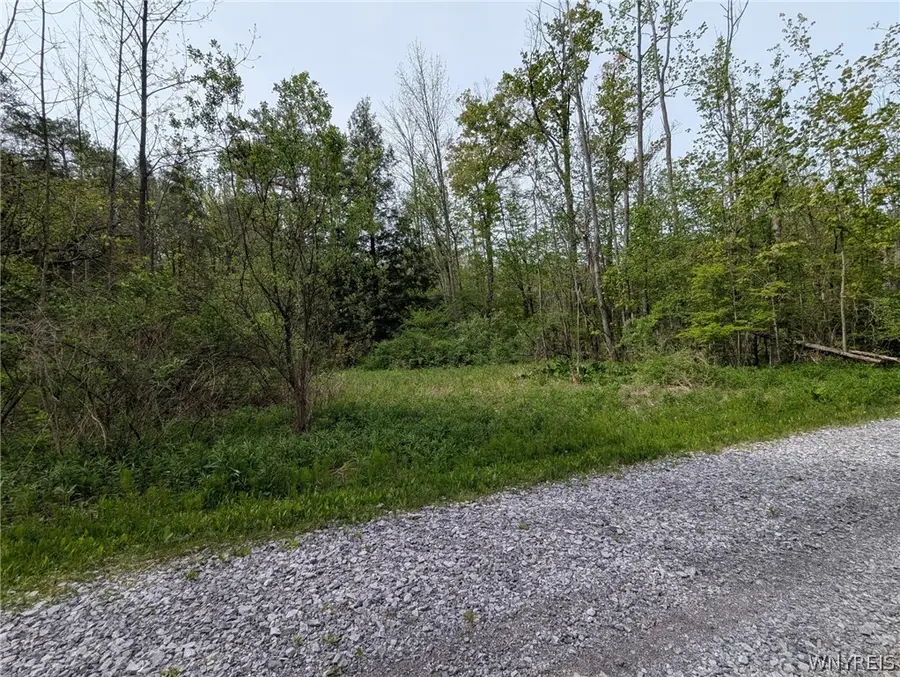 34 Treehaven Road, Gainesville, NY 14066 - #3