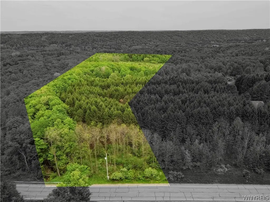 Vl Vermont Hill Road, South Wales, NY 14139 - #1