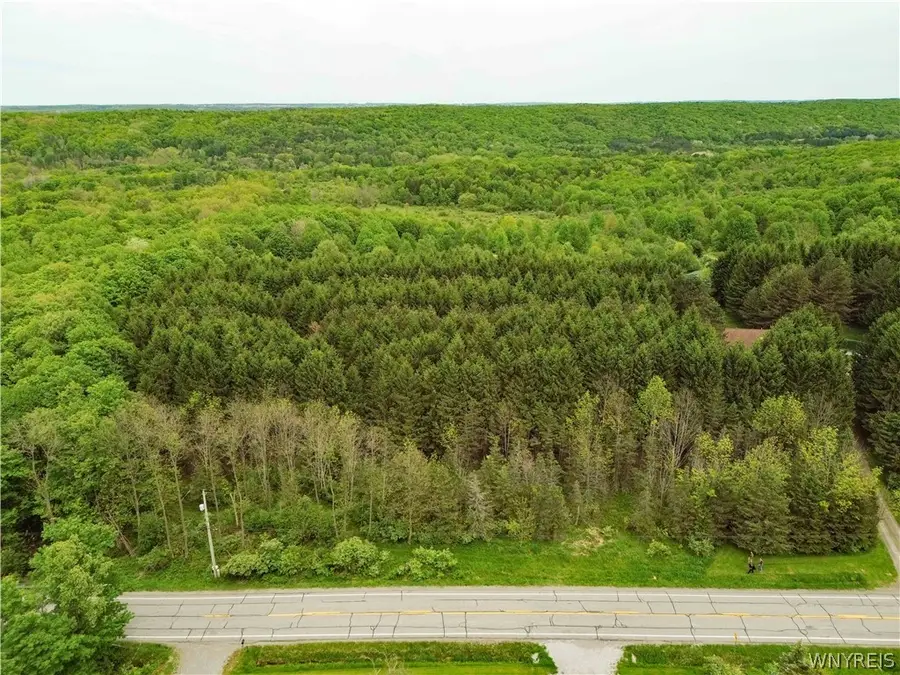 Vl Vermont Hill Road, South Wales, NY 14139 - #2