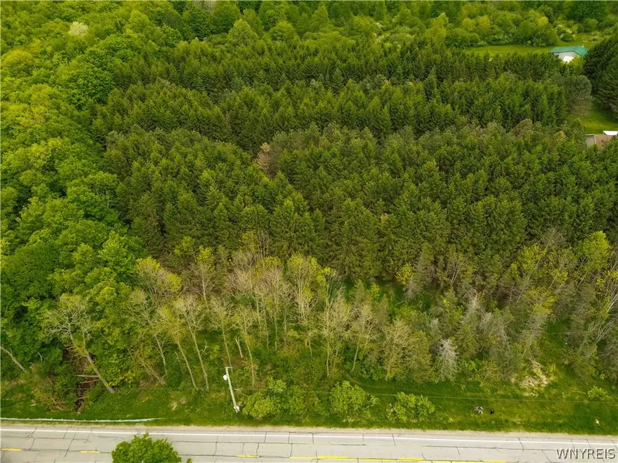 Vl Vermont Hill Road, South Wales, NY 14139 - #3