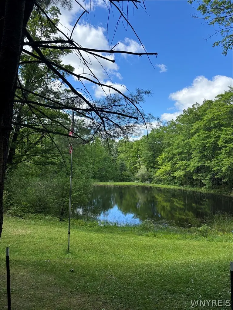 10147 Savage Road, Holland, NY 14080 - #2