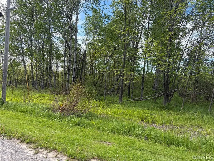 0 Deer Pond Acres Lot #37, Warsaw, NY 14569 - #2
