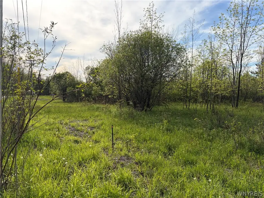 0 Deer Pond Acres Lot #37, Warsaw, NY 14569 - #3