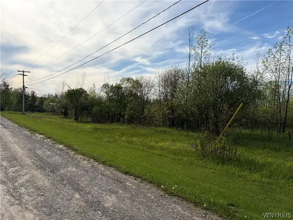 0 Deer Pond Acres Lot #38, Warsaw, NY 14569