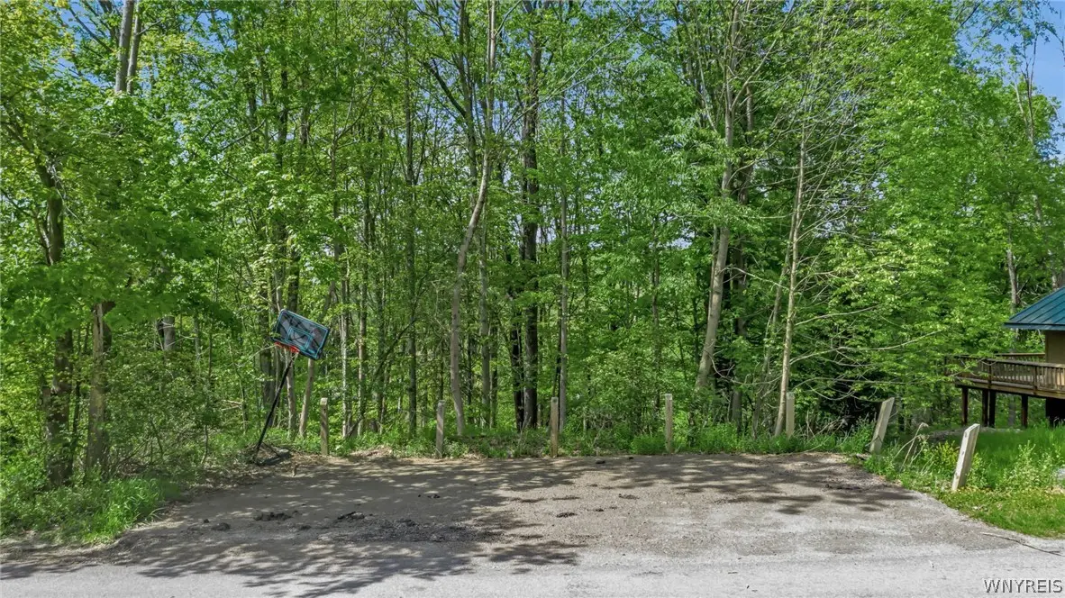 4 Sno Way, Ellicottville, NY 14731 - #1