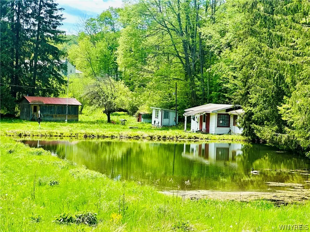 9023 State Route 21, Cohocton, NY 14826 - #1