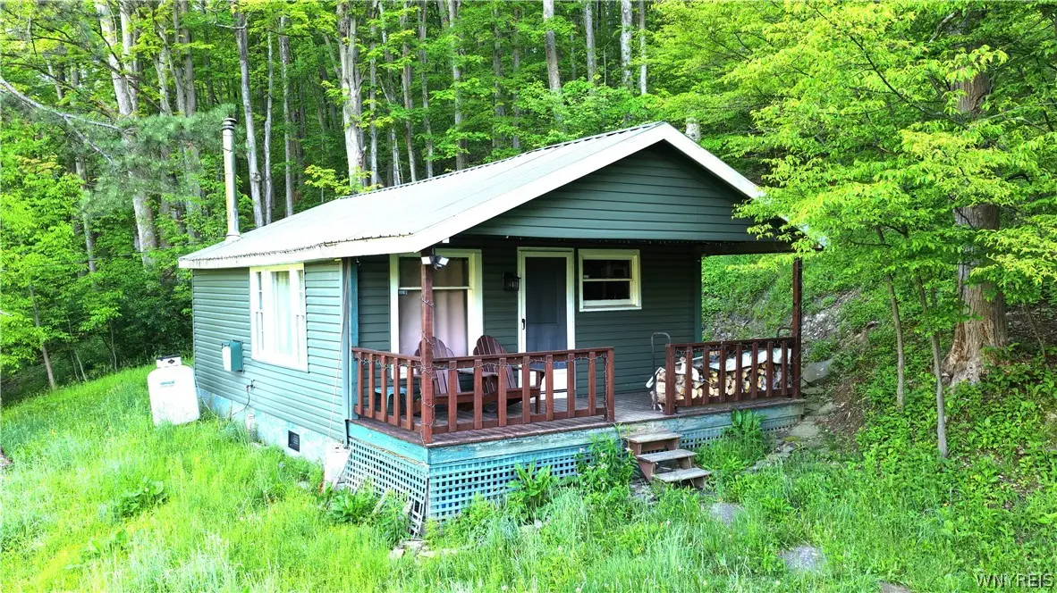 6964 Route 219 N, Ellicottville, NY 14731 - #1