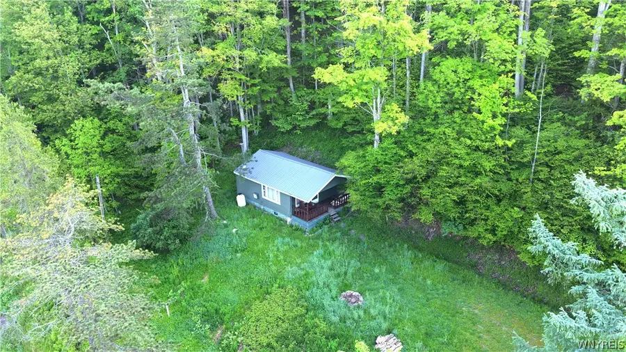 6964 Route 219 N, Ellicottville, NY 14731 - #2
