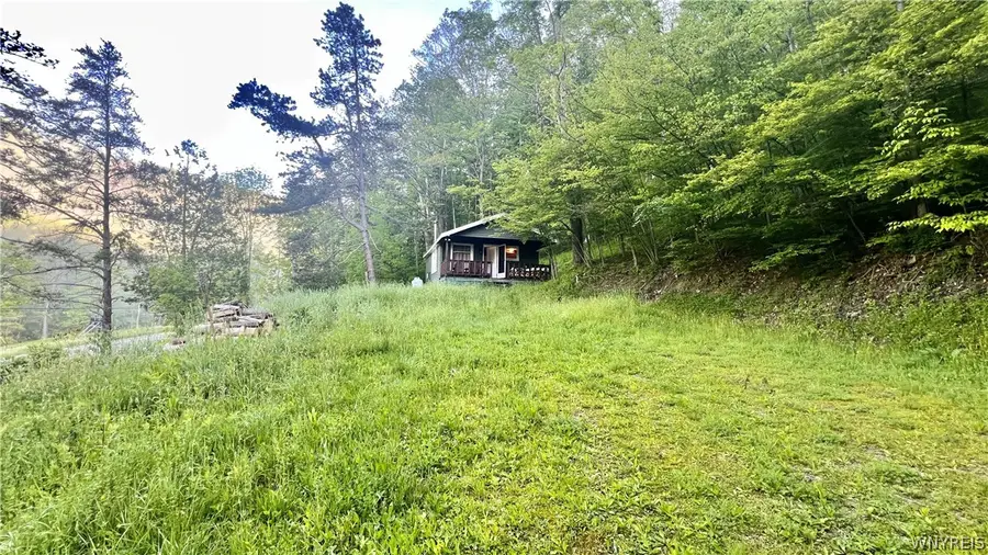 6964 Route 219 N, Ellicottville, NY 14731 - #3