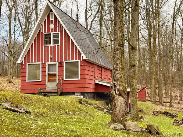 4771 Snow Brook Road, Great Valley, NY 14741
