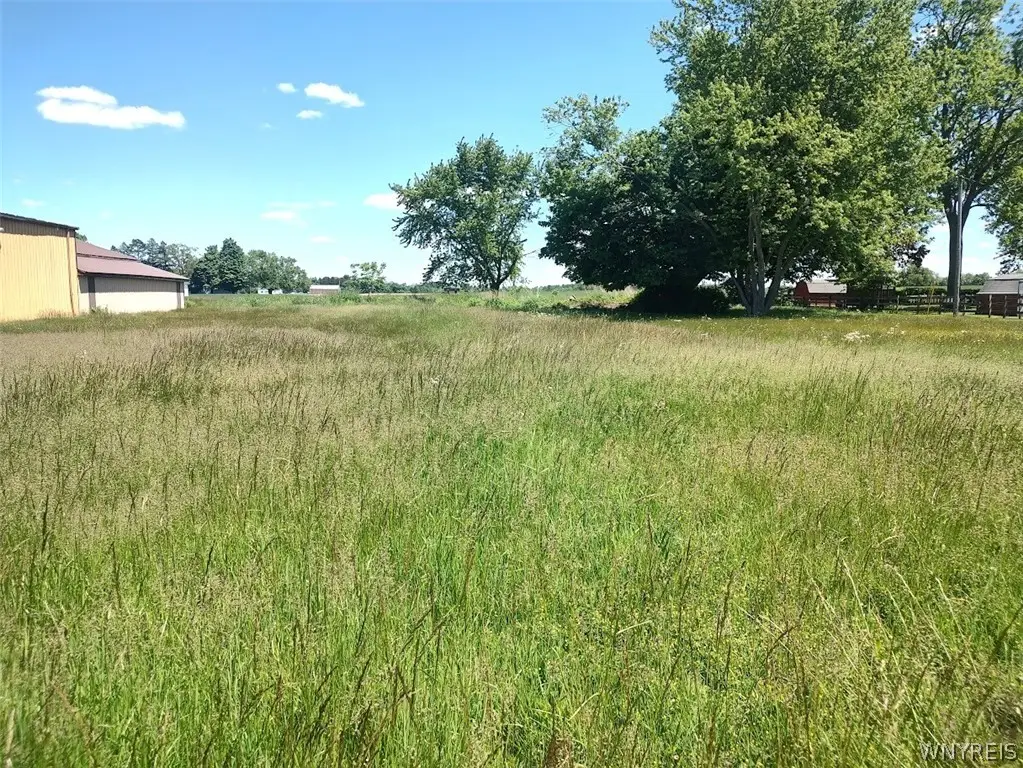Brant Reserv Road, Brant, NY 14027 - #1