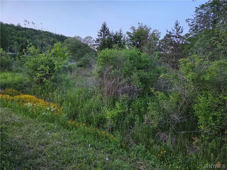 Horn Hill Road, Ellicottville, NY 14731 - #2