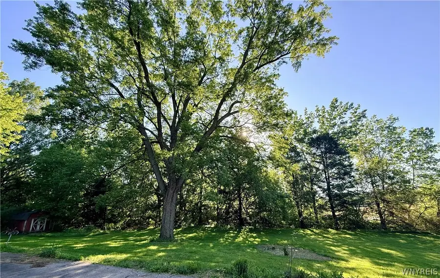 5313 Watson Road, Elba, NY 14058 - #3
