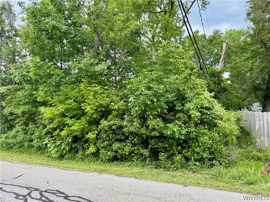 0 Sandy Beach Rd, Grand Island, NY 14072 - #2
