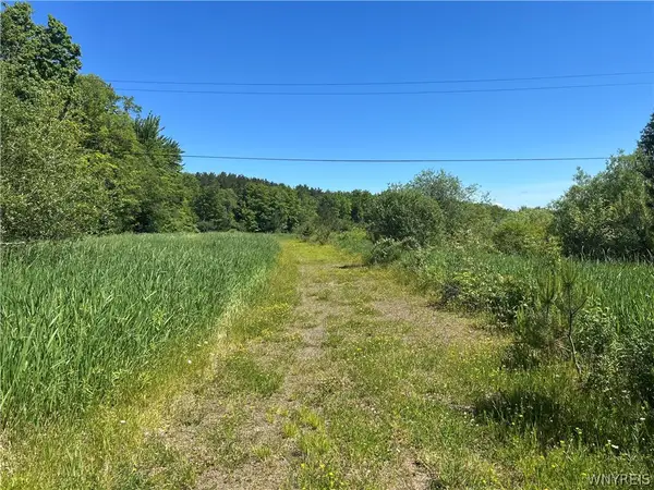 Warner Hill Road, Wales Center, NY 14169