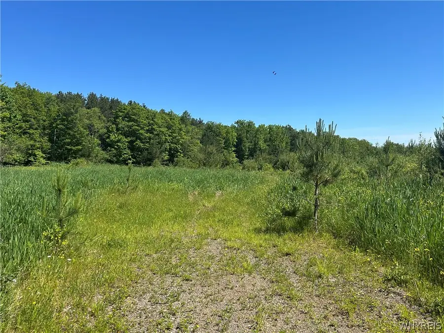 Warner Hill Road, Wales Center, NY 14169 - #3