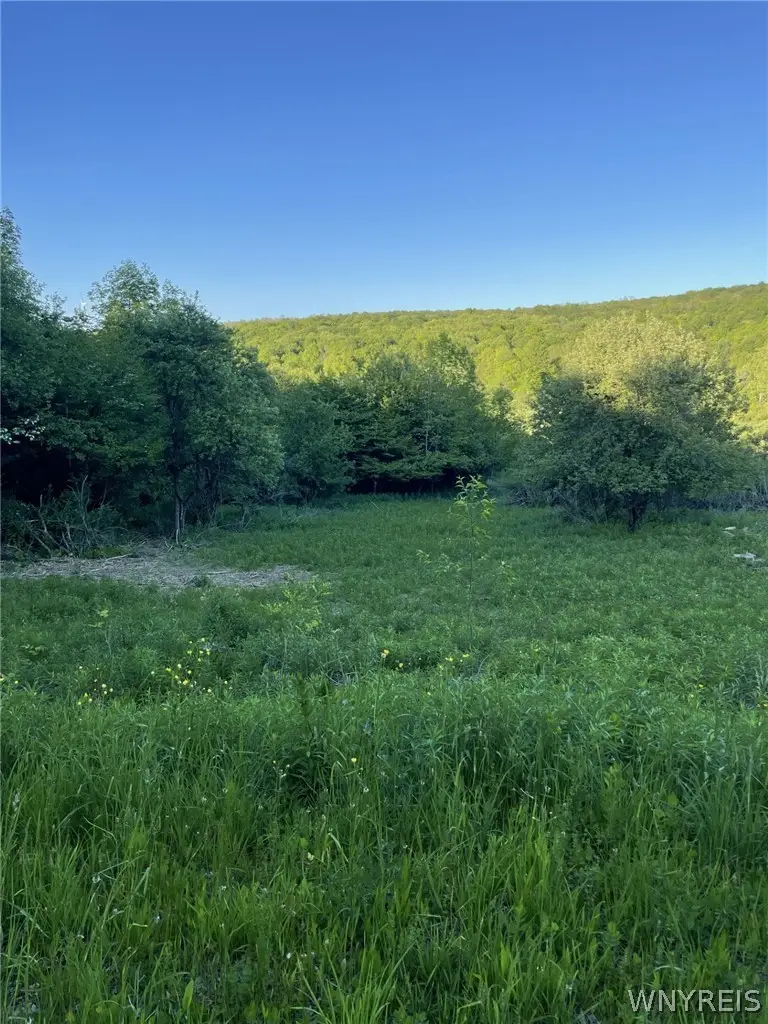 Lost Nations Road, Centerville, NY 14029 - #2