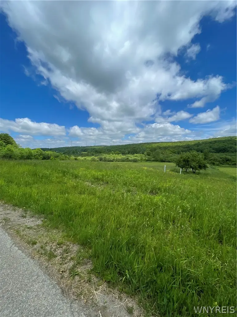 Lost Nations Road, Centerville, NY 14029 - #3