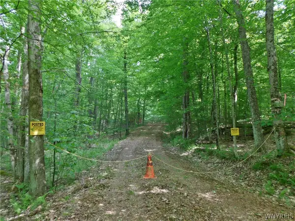 Cr-1, Friendship, NY 14739