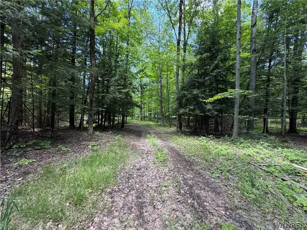 13800 Pritchard Road, Springville, NY 14141