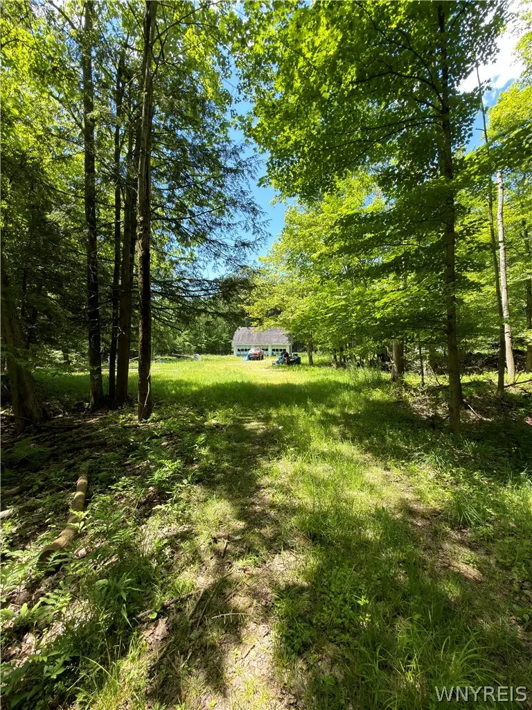 13800 Pritchard Road, Springville, NY 14141 - #2