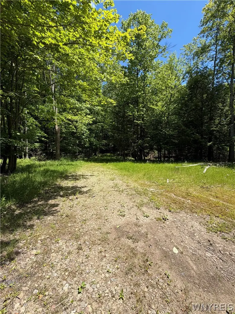 13800 Pritchard Road, Springville, NY 14141 - #3