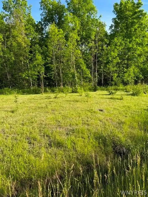 Lake Shore Road N, Hamburg, NY 14075 - #1
