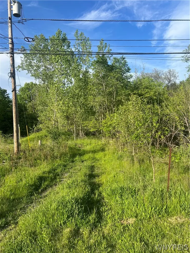 Ellicott Road, Orchard Park, NY 14127 - #2
