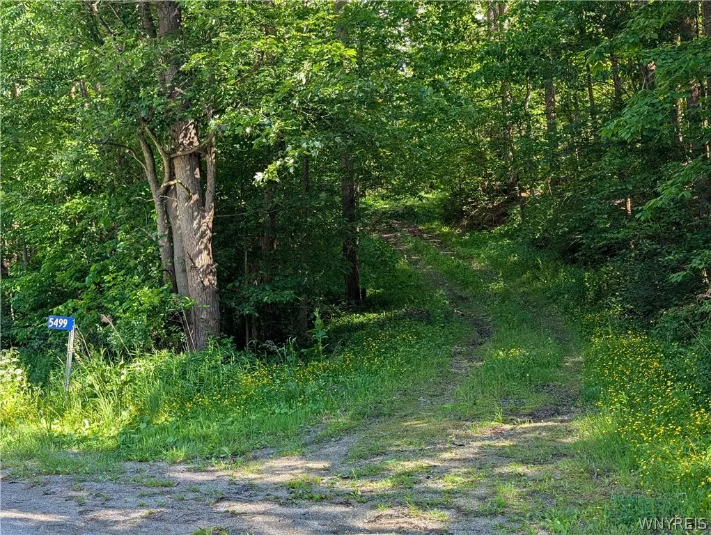 5499 Bryant Hill Road, Ellicottville, NY 14731 - #1