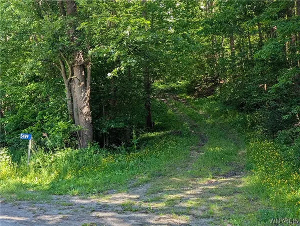 5499 Bryant Hill Road, Ellicottville, NY 14731