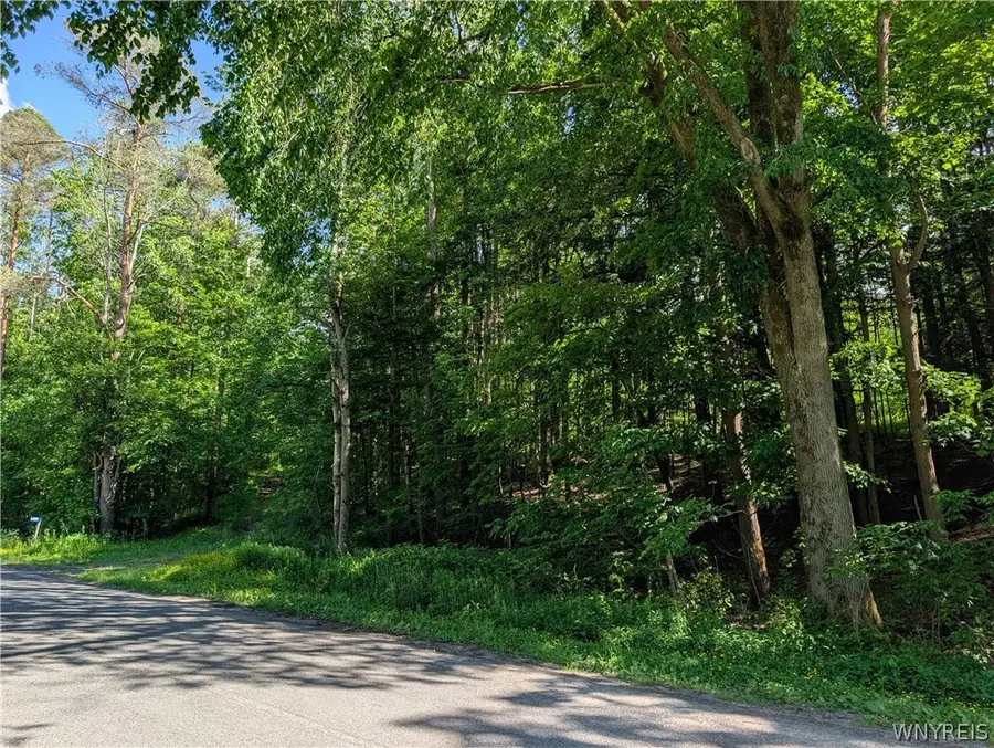 5499 Bryant Hill Road, Ellicottville, NY 14731 - #2